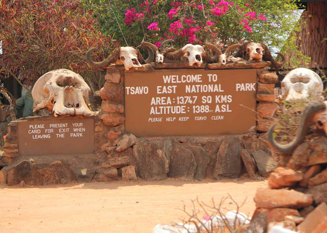 Tsavo East - Nostalgic Safaris and Adventures Ltd